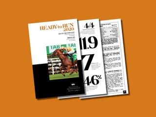 In the last six seasons alone, the graduates of NZB’s Ready to Run Sale have claimed 20 Group Ones and 135 stakes races. 